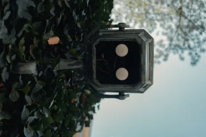 SpinTropolis Kaszinó Mobilalkalmazás